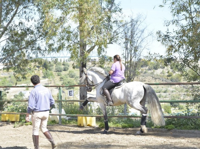 Trabajando con el caballo